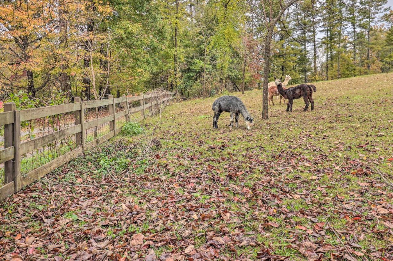 Rustic Hendersonville Farm Studio With Private Deck Exterior foto