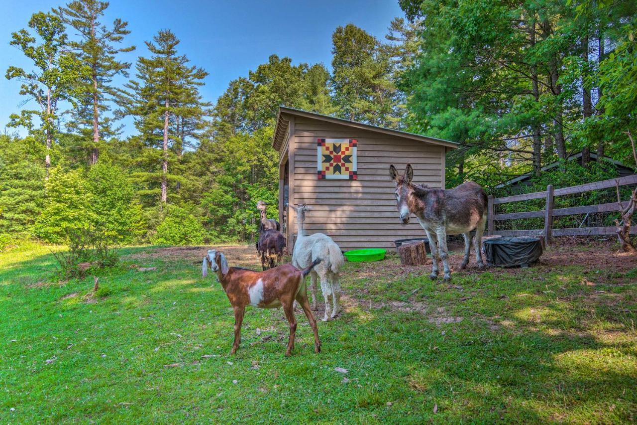 Rustic Hendersonville Farm Studio With Private Deck Exterior foto